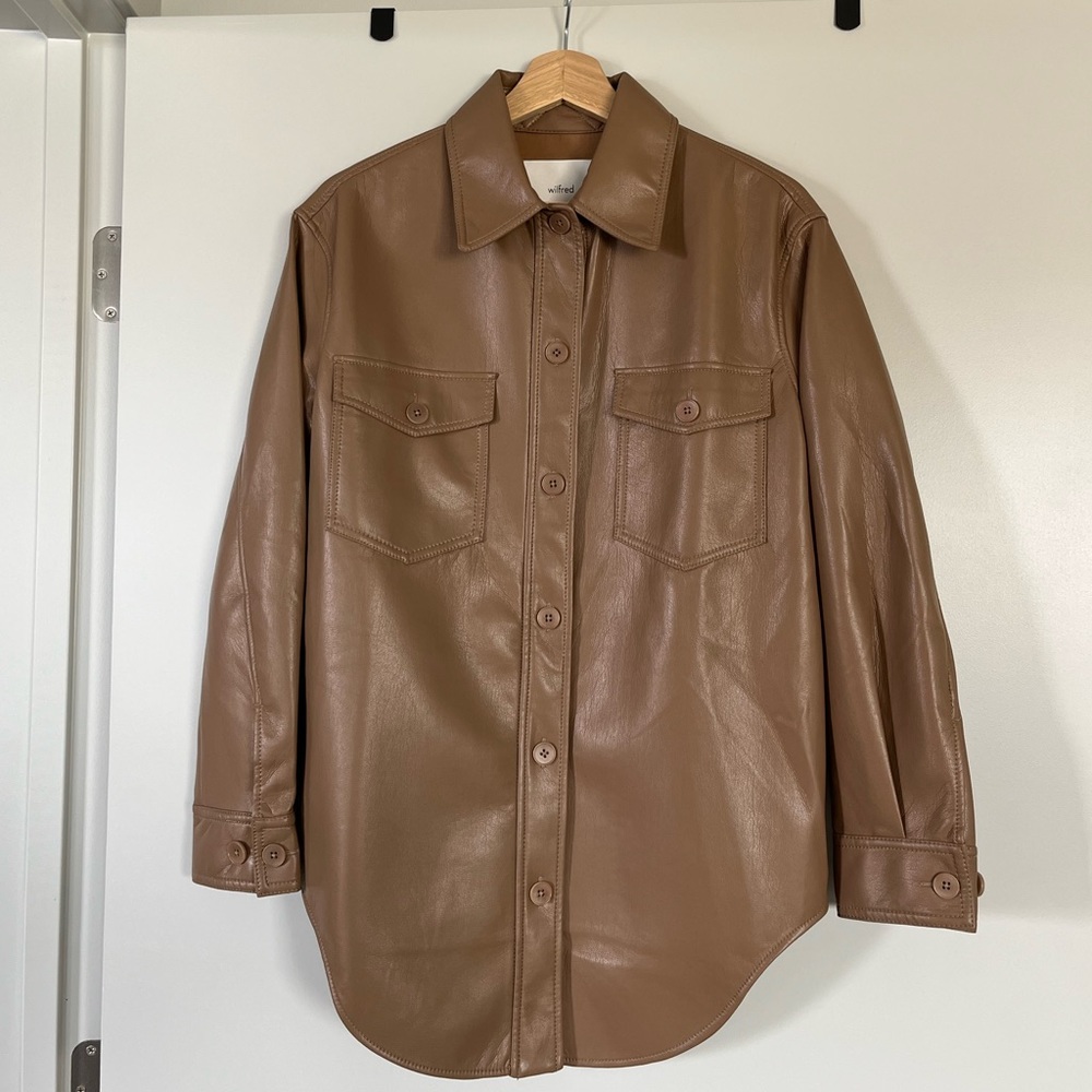 Aritzia Ganna Leather